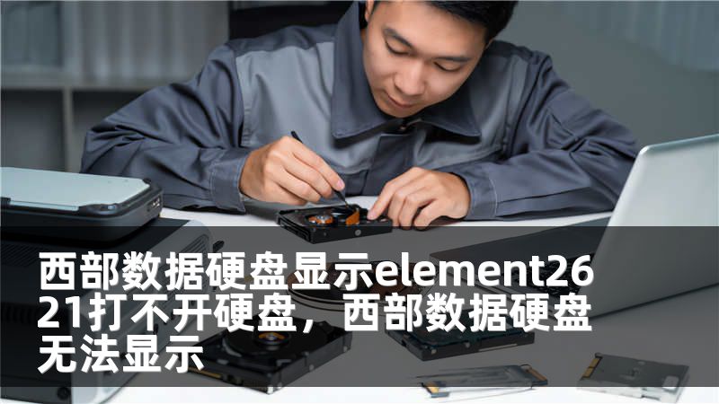 西部数据硬盘显示element2621打不开硬盘，西部数据硬盘无法显示