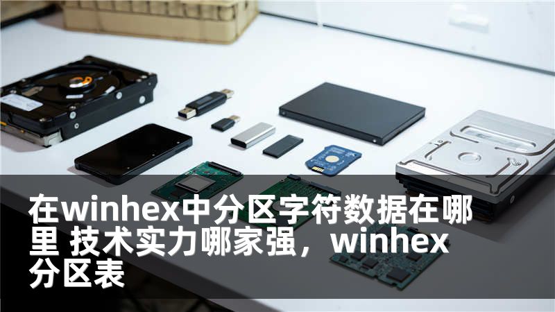 在winhex中分区字符数据在哪里 技术实力哪家强，winhex分区表