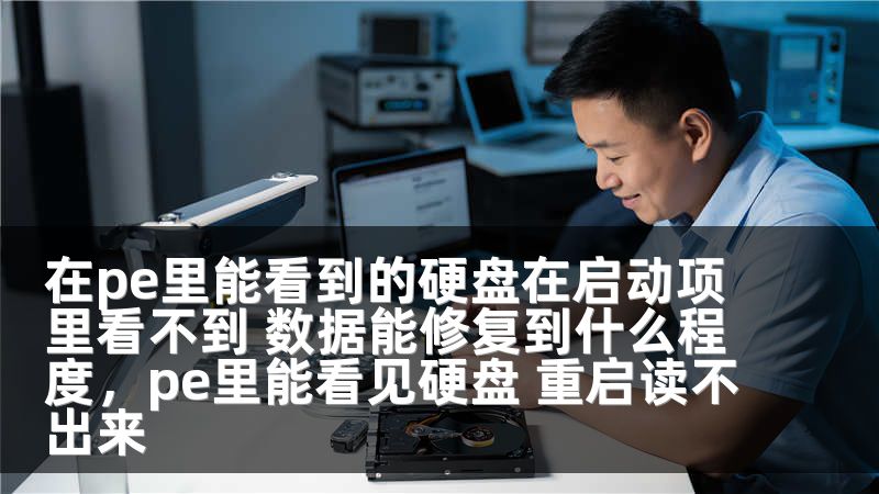 在pe里能看到的硬盘在启动项里看不到 数据能修复到什么程度，pe里能看见硬盘 重启读不出来