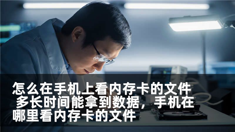 怎么在手机上看内存卡的文件 多长时间能拿到数据,手机在哪里看内存卡的文件