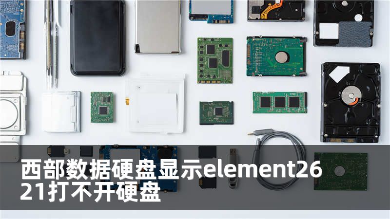 西部数据硬盘显示element2621打不开硬盘
