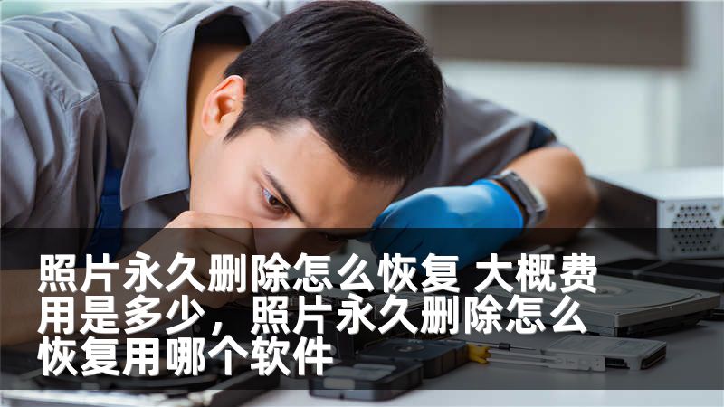 照片永久删除怎么恢复 大概费用是多少，照片永久删除怎么恢复用哪个软件