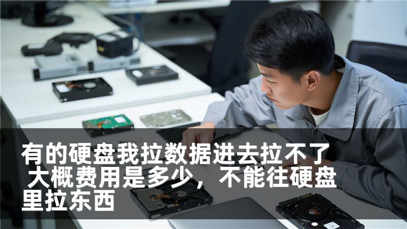 有的硬盘我拉数据进去拉不了 大概费用是多少，不能往硬盘里拉东西