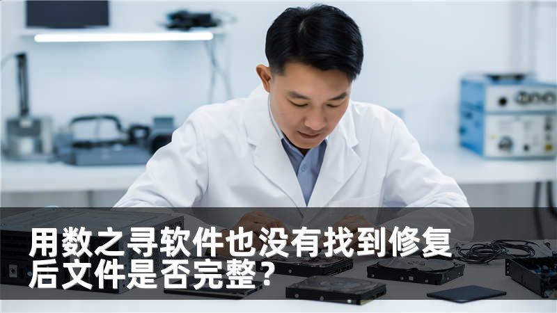 用数之寻软件也没有找到修复后文件是否完整？