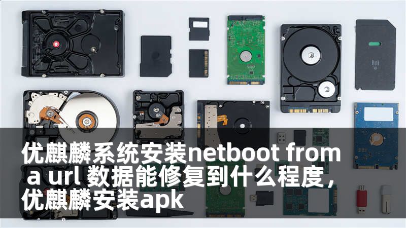 优麒麟系统安装netboot from a url 数据能修复到什么程度，优麒麟安装apk