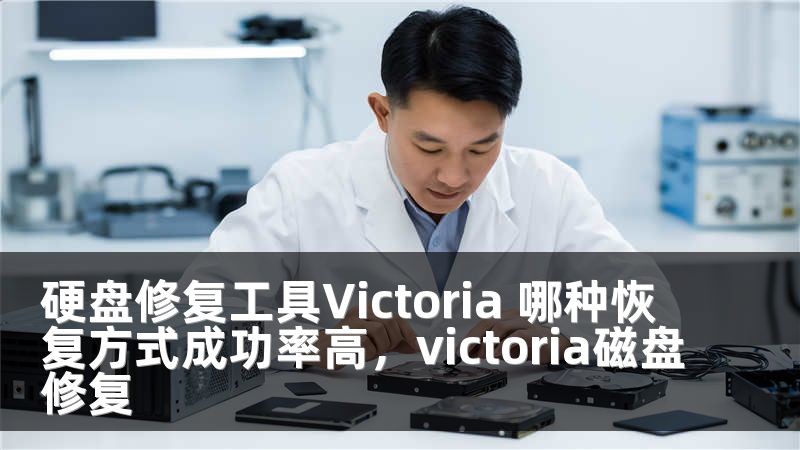 硬盘修复工具Victoria 哪种恢复方式成功率高，victoria磁盘修复