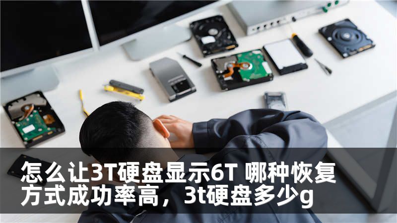 怎么让3T硬盘显示6T 哪种恢复方式成功率高，3t硬盘多少g