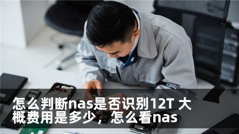 怎么判断nas是否识别12T 大概费用是多少，怎么看nas