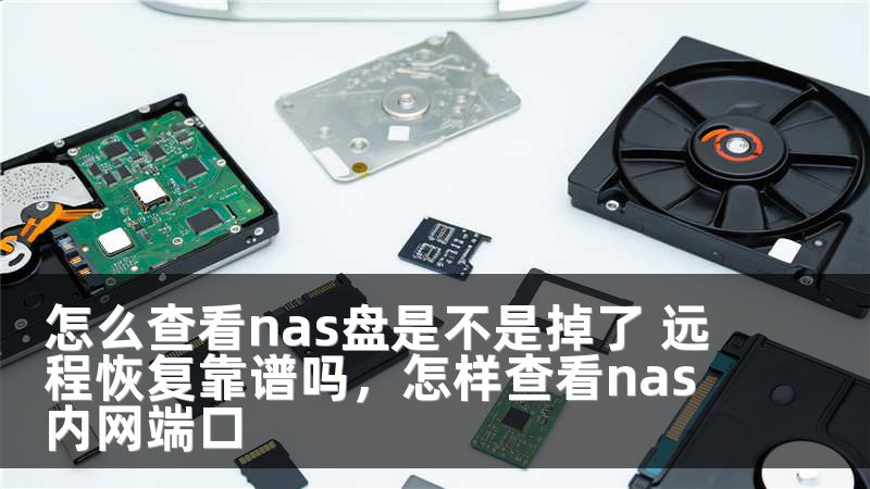 怎么查看nas盘是不是掉了 远程恢复靠谱吗，怎样查看nas内网端口