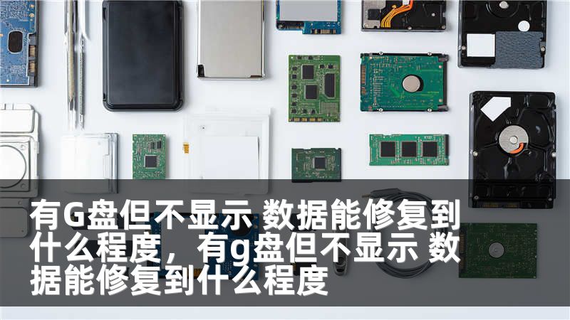 有G盘但不显示 数据能修复到什么程度，有g盘但不显示 数据能修复到什么程度
