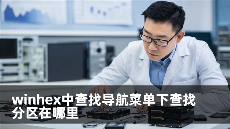 winhex中查找导航菜单下查找分区在哪里