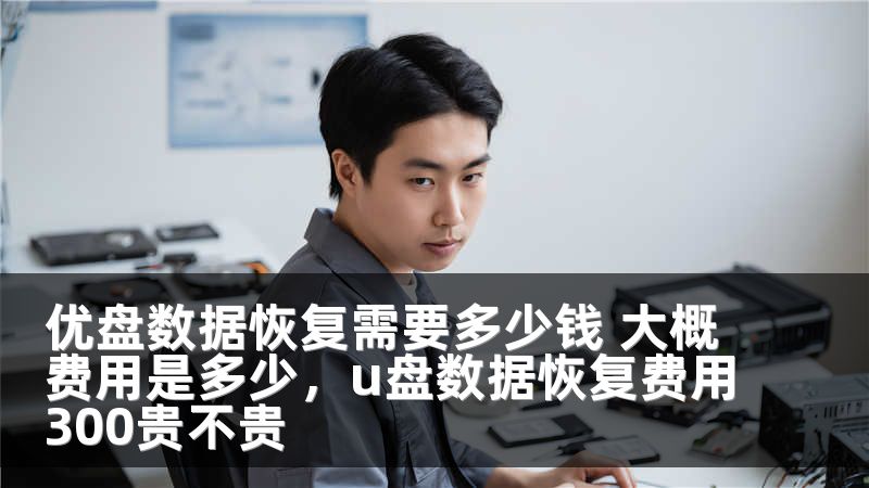 优盘数据恢复需要多少钱 大概费用是多少，u盘数据恢复费用300贵不贵