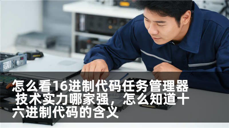 怎么看16进制代码任务管理器 技术实力哪家强，怎么知道十六进制代码的含义