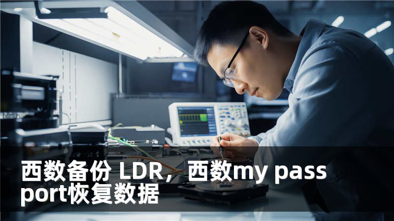 西数备份 LDR，西数my passport恢复数据