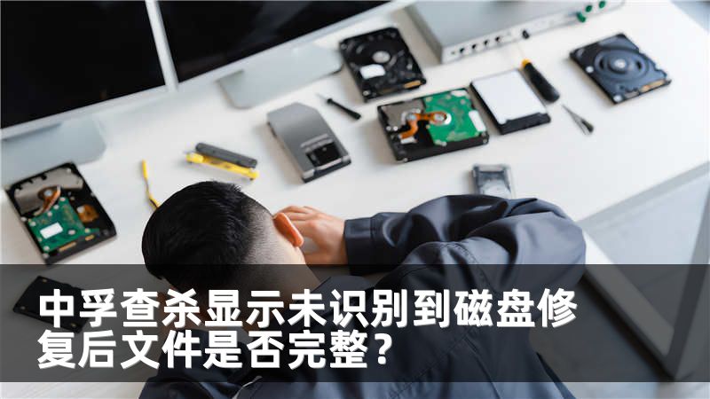中孚查杀显示未识别到磁盘修复后文件是否完整？