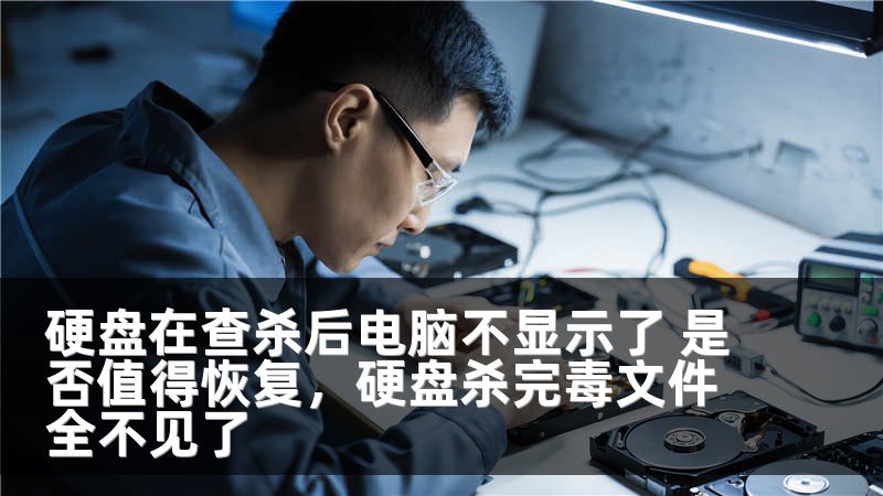 硬盘在查杀后电脑不显示了 是否值得恢复，硬盘杀完毒文件全不见了