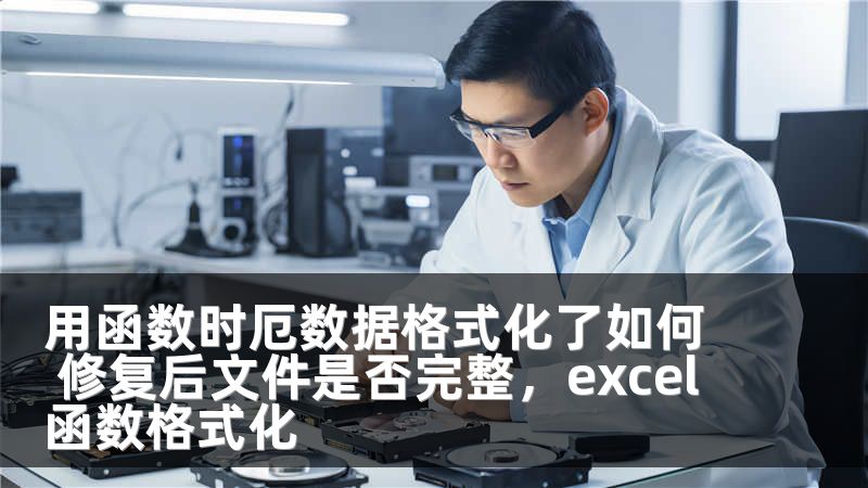 用函数时厄数据格式化了如何 修复后文件是否完整，excel函数格式化
