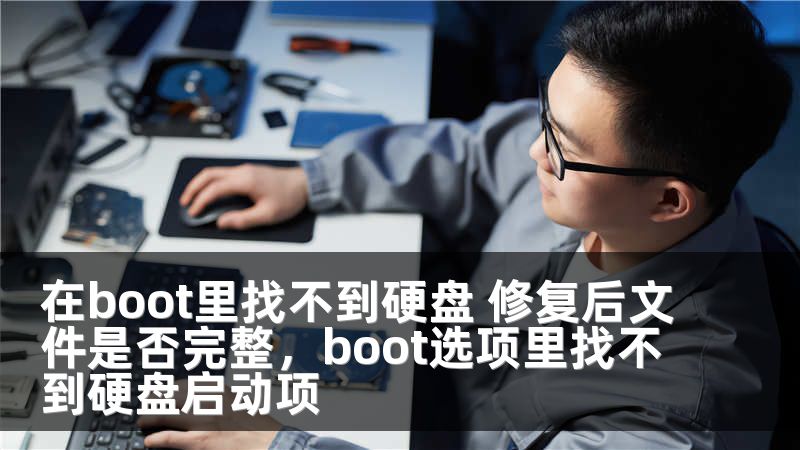 在boot里找不到硬盘 修复后文件是否完整，boot选项里找不到硬盘启动项