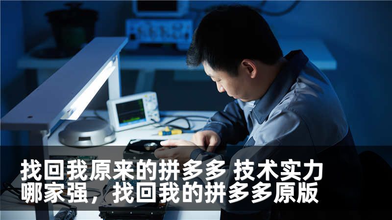 找回我原来的拼多多 技术实力哪家强,找回我的拼多多原版