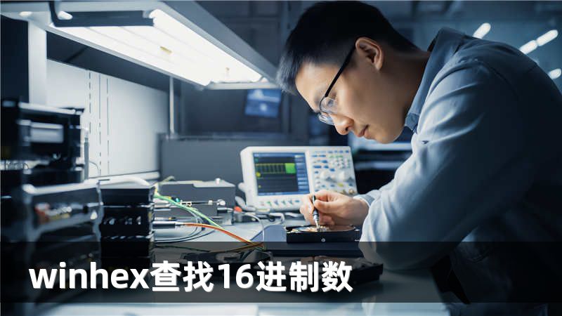 winhex查找16进制数