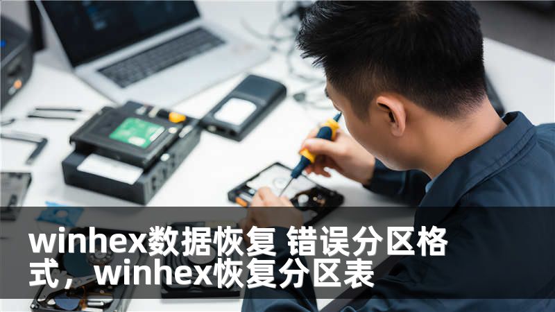 winhex数据恢复 错误分区格式，winhex恢复分区表