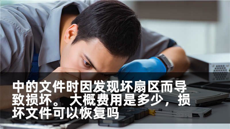 中的文件时因发现坏扇区而导致损坏。 大概费用是多少，损坏文件可以恢复吗