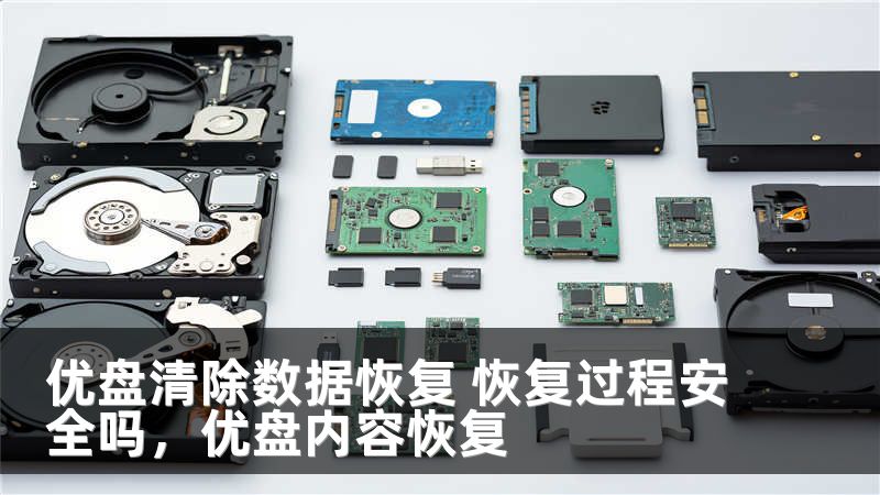 优盘清除数据恢复 恢复过程安全吗，优盘内容恢复