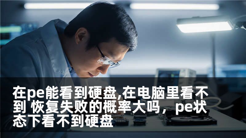 在pe能看到硬盘,在电脑里看不到 恢复失败的概率大吗，pe状态下看不到硬盘