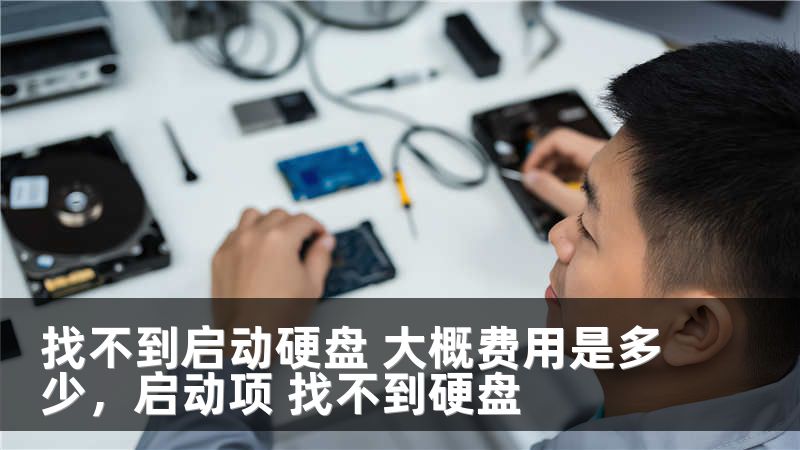 找不到启动硬盘 大概费用是多少，启动项 找不到硬盘