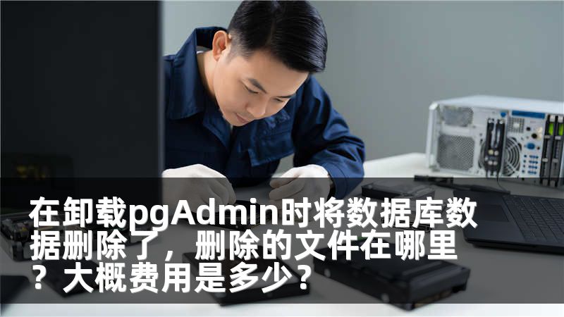 在卸载pgAdmin时将数据库数据删除了，删除的文件在哪里？大概费用是多少？