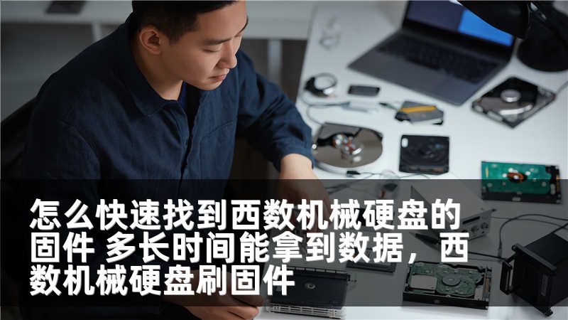 怎么快速找到西数机械硬盘的固件 多长时间能拿到数据，西数机械硬盘刷固件