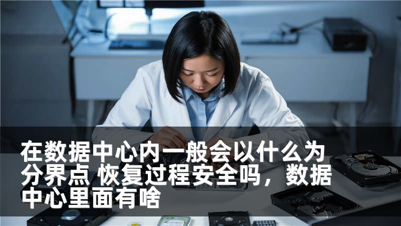 在数据中心内一般会以什么为分界点 恢复过程安全吗,数据中心里面有啥