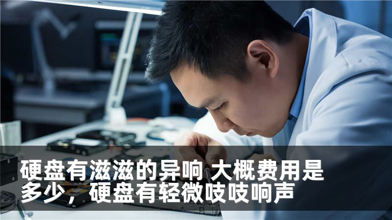硬盘有滋滋的异响 大概费用是多少，硬盘有轻微吱吱响声