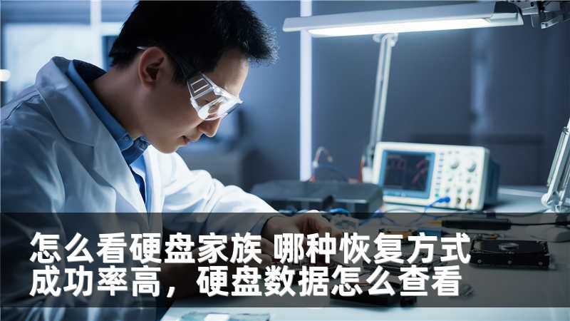 怎么看硬盘家族 哪种恢复方式成功率高，硬盘数据怎么查看