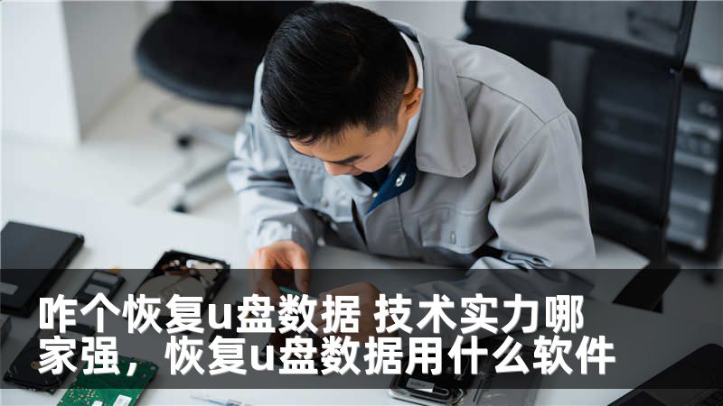 咋个恢复u盘数据 技术实力哪家强，恢复u盘数据用什么软件