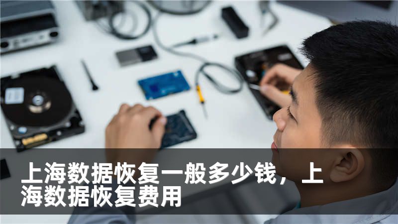 上海数据恢复一般多少钱,上海数据恢复费用