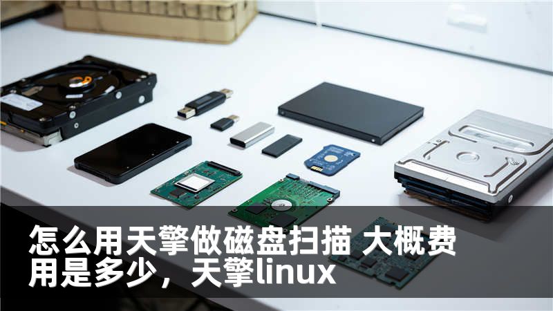 怎么用天擎做磁盘扫描 大概费用是多少,天擎linux