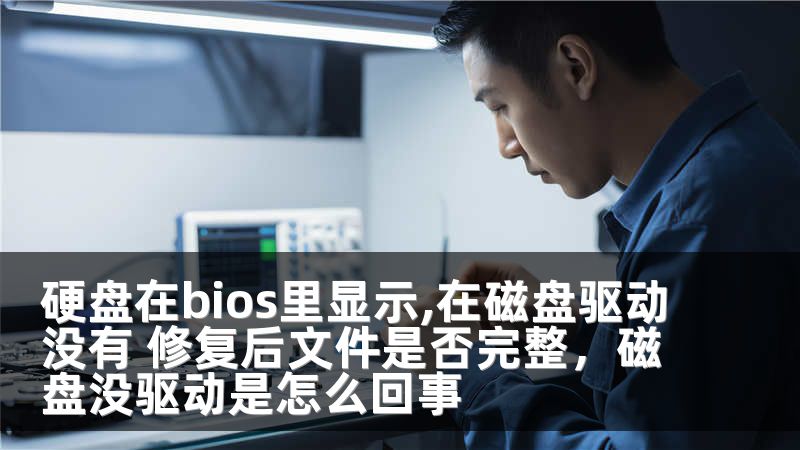硬盘在bios里显示,在磁盘驱动没有 修复后文件是否完整，磁盘没驱动是怎么回事