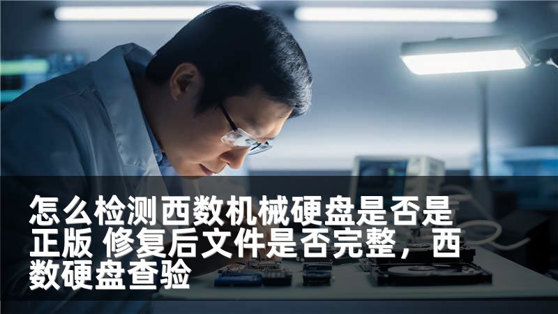 怎么检测西数机械硬盘是否是正版 修复后文件是否完整，西数硬盘查验