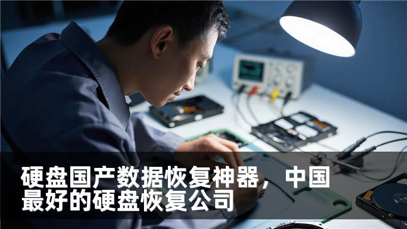 硬盘国产数据恢复神器，中国最好的硬盘恢复公司
