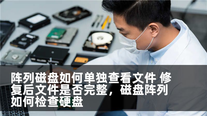 阵列磁盘如何单独查看文件 修复后文件是否完整,磁盘阵列如何检查硬盘