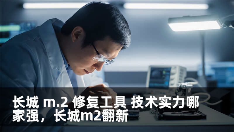 长城 m.2 修复工具 技术实力哪家强,长城m2翻新