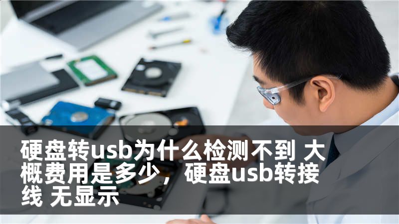 硬盘转usb为什么检测不到 大概费用是多少,硬盘usb转接线 无显示