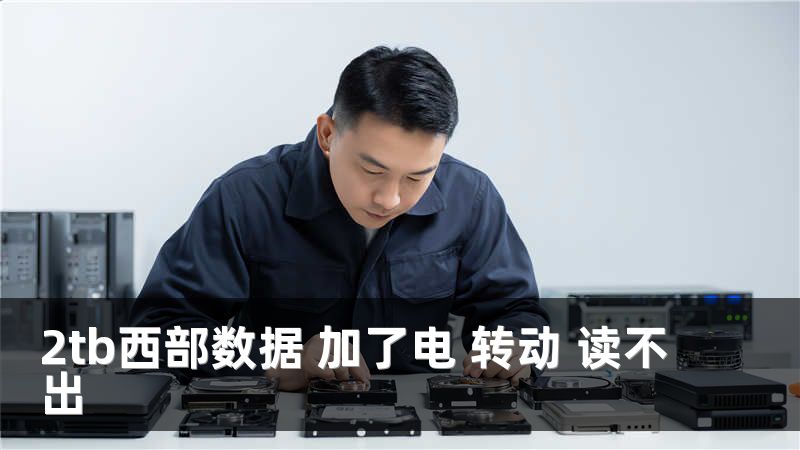 2tb西部数据 加了电 转动 读不出