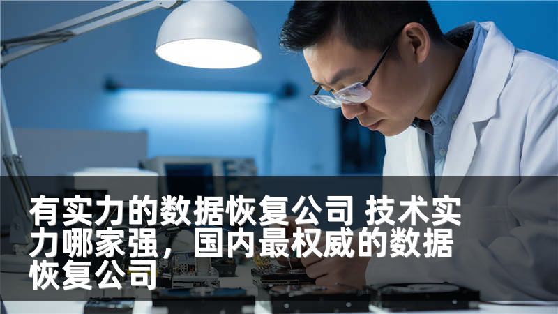 有实力的数据恢复公司 技术实力哪家强,国内最权威的数据恢复公司