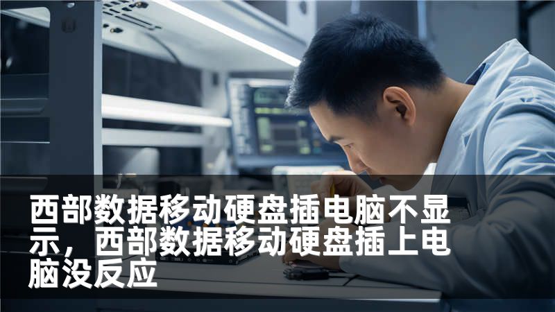 西部数据移动硬盘插电脑不显示，西部数据移动硬盘插上电脑没反应