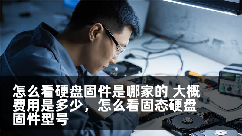 怎么看硬盘固件是哪家的 大概费用是多少，怎么看固态硬盘固件型号