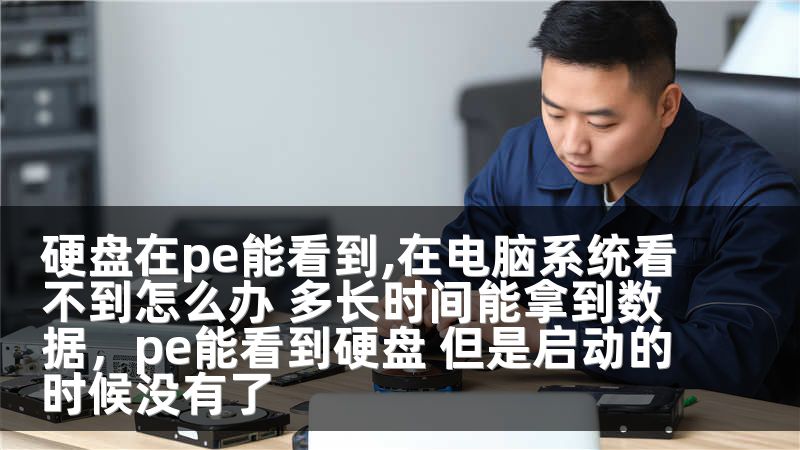 硬盘在pe能看到,在电脑系统看不到怎么办 多长时间能拿到数据,pe能看到硬盘 但是启动的时候没有了