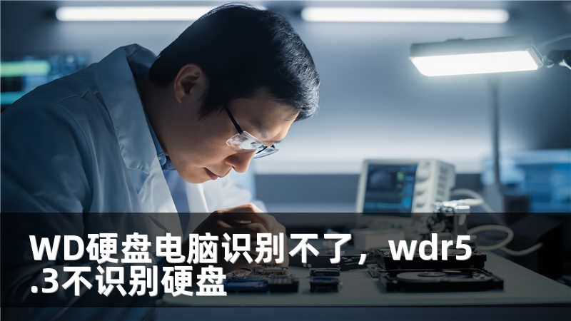 WD硬盘电脑识别不了,wdr5.3不识别硬盘