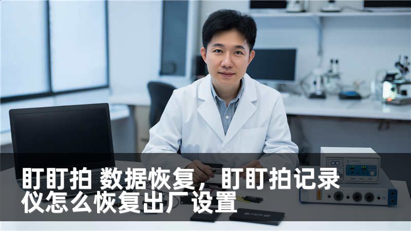 盯盯拍 数据恢复，盯盯拍记录仪怎么恢复出厂设置